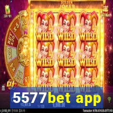 5577bet app
